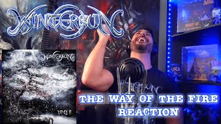 Wintersun  The Way of The Fire First Reaction Time II [upl. by Treiber]