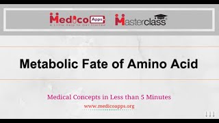 Metabolic fate of amino acid [upl. by Aetnahc]