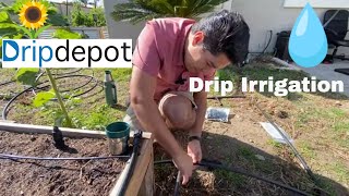 How to Install Drip Irrigation in Raised Beds Easy [upl. by Holle516]