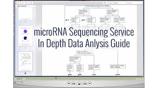 microRNA Sequencing Service  In Depth Data Analysis Guide [upl. by Eillam]