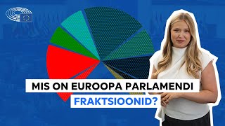 Tutvu Euroopa Parlamendi fraktsioonidega [upl. by Banerjee]