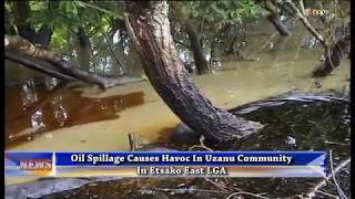 Oil spillage causes havoc in Uzanu community Edo State [upl. by Shere]