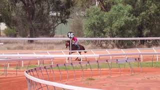 Charleville 20241105 Race 1 [upl. by Nerb]