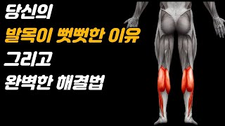 발목 스트레칭이 효과가 없다면 이 운동들을 해보세요 Feat발목가동성 개선 운동 5가지 [upl. by Ettelrac]