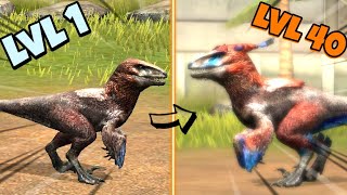 Jurassic world game Max Level Upgrade  Deinonychus Dinosaur 🦖 [upl. by Dhu]