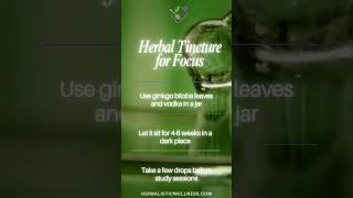 🌿🧠 Herbal Focus Tincture  Ginkgo Biloba herbalremedies herbpower herbalmedicine [upl. by Imoan]