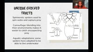 Exploring Protostomes Spiders [upl. by Nosreh]