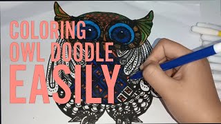 OWL COLORING WITH SPIDOL SNOWMAN  IYESCOLORING [upl. by Chem411]