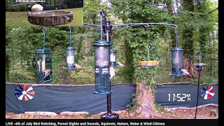 LIVE  Birds Baths amp Beyond Bird Watching amp Chorus Nature Wildlife Water amp Wind Chimes [upl. by Nesyaj]