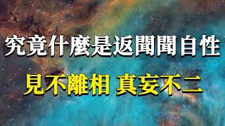 究竟什麼才是返聞聞自性？它可是你明心見性的關鍵啊！我們在生活中該如何才能做到它呢？見不離相，真妄不二。能量業力 宇宙 精神 提升 靈魂 財富 認知覺醒 修行 [upl. by Affer590]