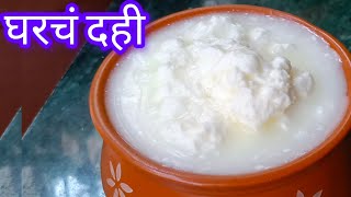 दही कसे लावावे  how to make dahi  dahi kase banvave in marathi  homecooks55 [upl. by Menzies]