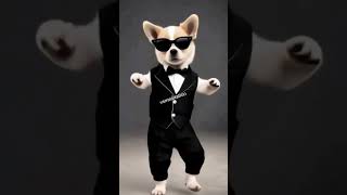 dancing dog video  dancing dog  dog dancing to music😆♥️ dog cute pets funny dogdance shorts [upl. by Noiramed415]