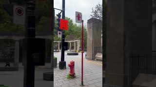 McGill University  Roddick Gates travel [upl. by Cacie]