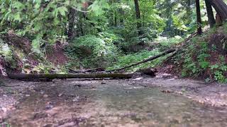 Muskegon River Stream Sleep Sounds Relaxation Meditation [upl. by Chapa]