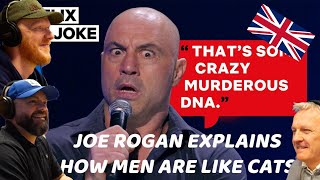 Joe Rogan Explains How Men Are Like Cats REACTION  OFFICE BLOKES REACT [upl. by Gitlow26]