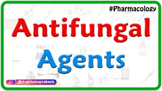 Antifungal agents Pharmacology  Amphotericin B Usmle  Fmge Neet pg [upl. by Lezah]