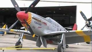 Tuskegee Airmen Red Tail P51 Mustang History [upl. by Meekahs]