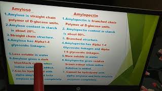 Difference between Amylose and Amylopectin [upl. by Hteazile]