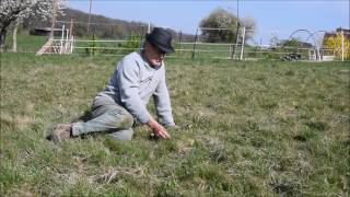 Le Potager du Paresseux  visite début avril 2017 [upl. by Abigael]