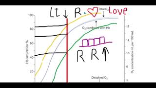 Oxygen dissociation curve in simple way  sift to the left in CO poisoning and right [upl. by Colston]