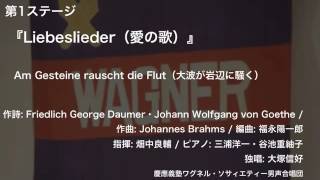 Am Gesteine rauscht die Flut（大波が岩辺に騒く） –『Liebeslieder（愛の歌）』（第114回定期演奏会） [upl. by Agna]