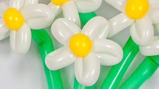 How to make a balloon Flower  Balloon daisy gift tutorial balloonflower balloonanimals balloon [upl. by Gizela]