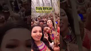 Zulu 👸zulu africa culture beauty views 4k trendingshorts trending 3d love [upl. by Nemajneb541]