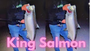 People Catch King Salmon At McKinley Pier Using Crankbaits [upl. by Delanos]