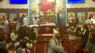 St Philopater amp St Mina Coptic Orthodox Church Live Stream [upl. by Altheta]