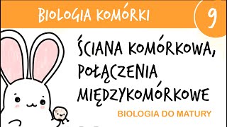 Cytologia 9  Ściana komórkowa i połączenia międzykomórkowe  biologia liceum do matury rozszerzona [upl. by Yarg679]