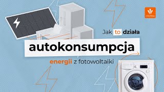 Jak zwiększyć autokonsumpcję energii z fotowoltaiki [upl. by Maris]