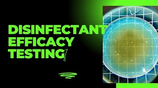 Disinfectant Efficacy Testing Dilution Method Surface Spread Method USP 1072 [upl. by Story]