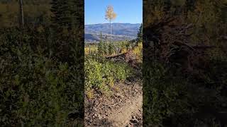 Beautiful Fall Morning Trail Run Steamboat Springs [upl. by Damiano372]