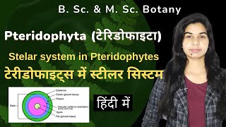 Pteridophyta  Stelar system in Pteridophytes टेरीडोफाइट्स में स्टीलर सिस्टम  हिंदी में [upl. by Elinnet]