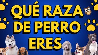 QUÉ PERRO ERES SEGÚN TU SIGNO DEL ZODIACO [upl. by Jepum]