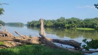 Algonkian Park and Miniature Poodle Today 🐩 [upl. by Larrie]