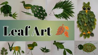 Leaf art Leaf art ideas for school project पेड़ के पत्तों से चित्र बनाना सीखें Easy leaf art 🌿 [upl. by Ainod]