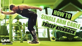 How To Do A SINGLE ARM CABLE TRICEP KICKBACK  Exercise Demonstration Video and Guide [upl. by Ttereve481]