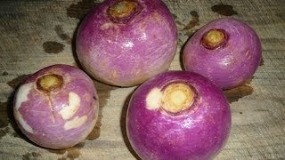 Juicing How To Make Turnip Juice Recipe [upl. by Ricker]