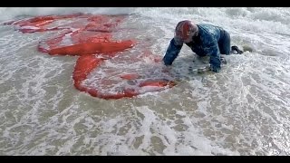 Incident Paraglider landed in a 3C Water into the Sea and almost drowned [upl. by Wilfred554]