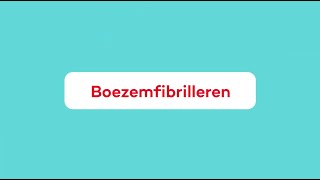 Wat is Boezemfibrilleren [upl. by Caassi]