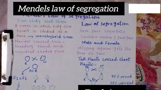 Mendels law of segregationClass 10Biology [upl. by Justina]