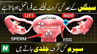 Humbistari K Bad Kis Taraf Laitne se Jaldi Hamal Hota He  Best Tips To Get Pregnant in Urdu Hindi [upl. by Nivonod221]