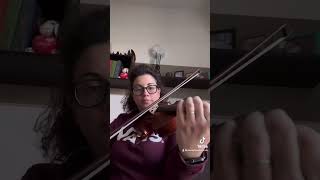 Mi avete sfidata violino violine musica thekolors [upl. by Euk]