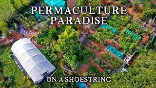 Inspirational SmallScale Permaculture Homestead  Low Cost SelfSufficiency on Less Than an Acre [upl. by Novyart]