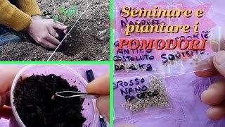 SEMINARE E PIANTARE I POMODORI [upl. by Peyter26]