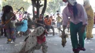 Historia de la danza comedia tradicional de los tecuanes EN FOTOS [upl. by Accever588]