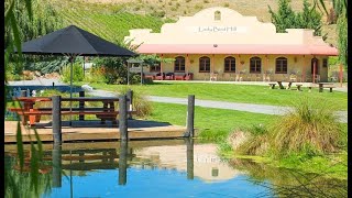 1 Pinot Noir Court Omarama Waitaki Otago OML106019 [upl. by Wilmer]