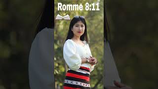 Romme 811 Audio Bible in Zeme Naga audiobible [upl. by Haridan93]