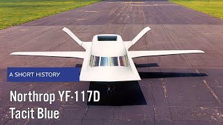 Northrop YF117D Tacit Blue  A Short History [upl. by Laeria623]